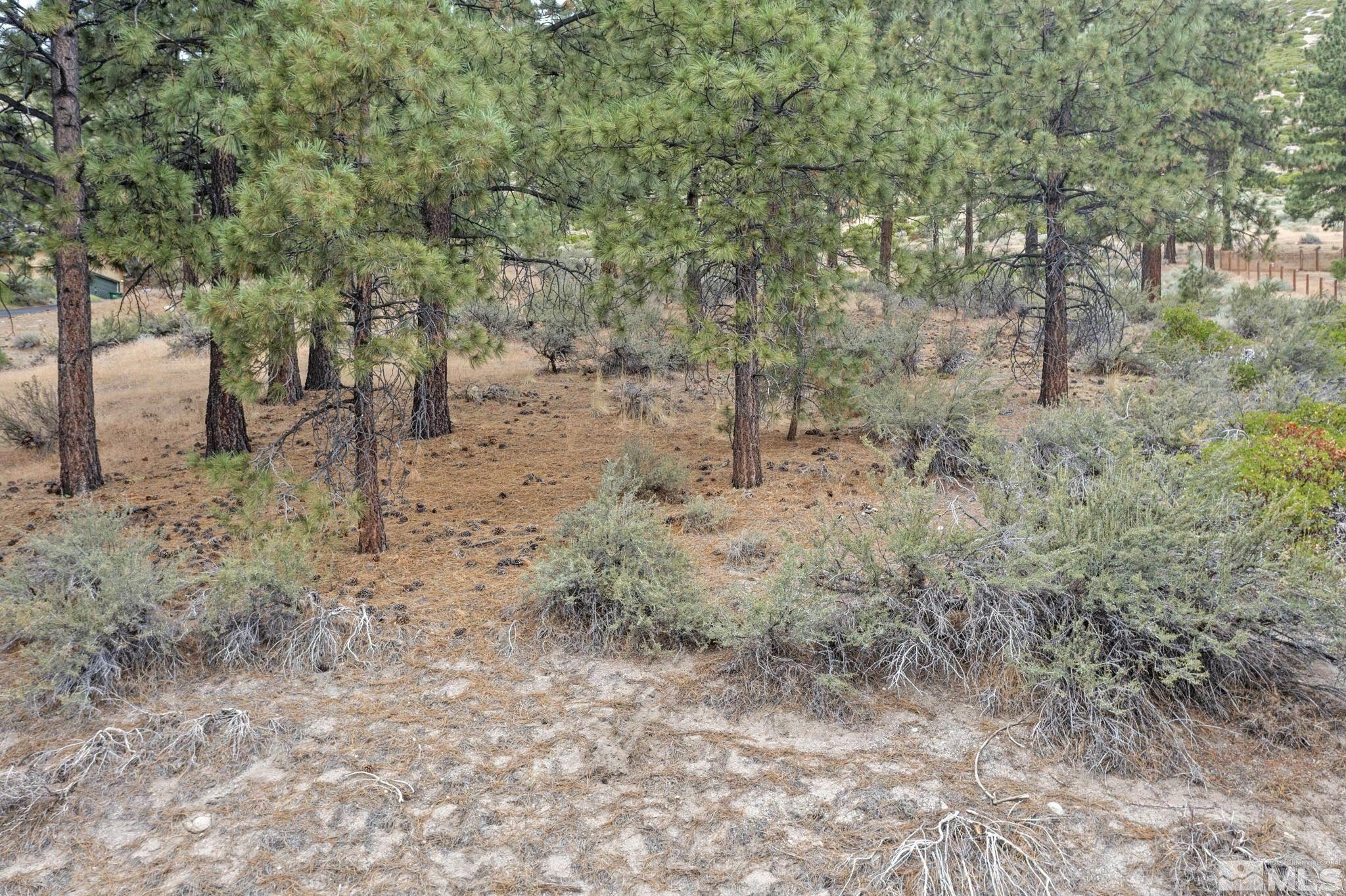 4670 Wagon Wheel Road Carson City, NV 89703 - Photo 1 of 18 Photo 1