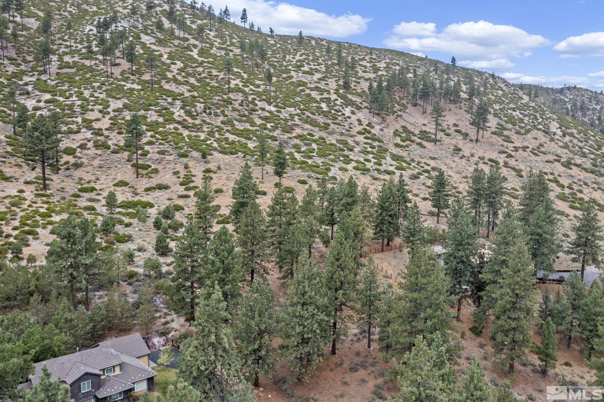 4670 Wagon Wheel Road Carson City, NV 89703 - Photo 7 of 18 Photo 7