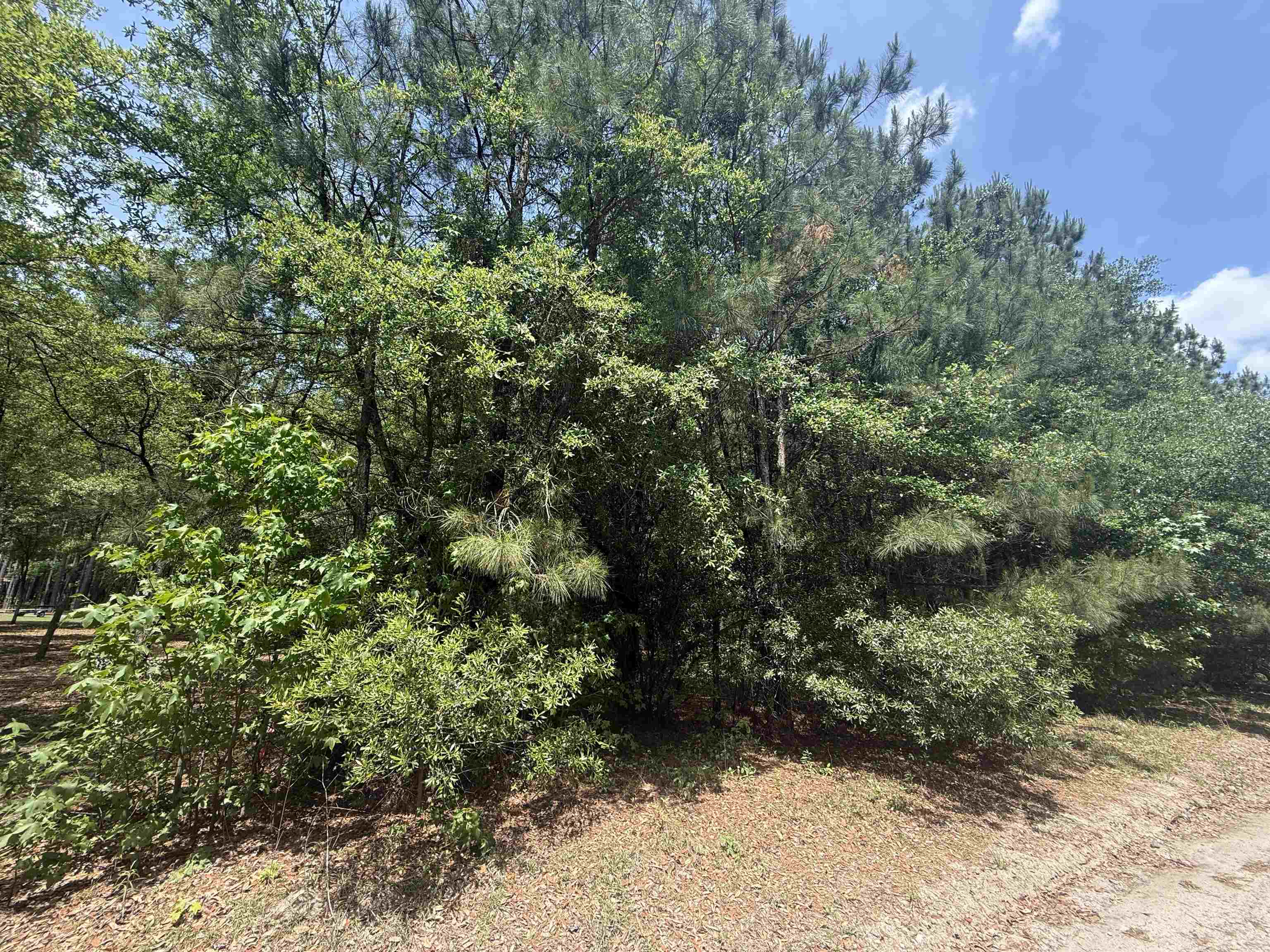 Lot 1 Brantly Road Andrews, SC 29510 - Photo 2 of 5
