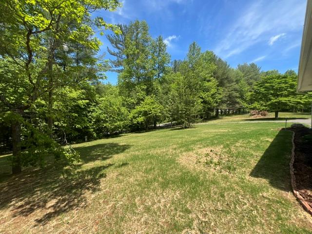 1616 Abe Cove Road Hiawassee, GA 30546 - Photo 6 of 17 a view of a field with an trees