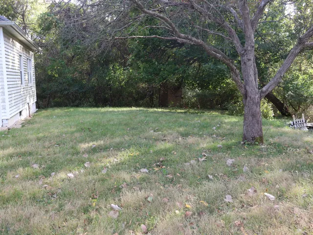 a view of a yard with a tree
