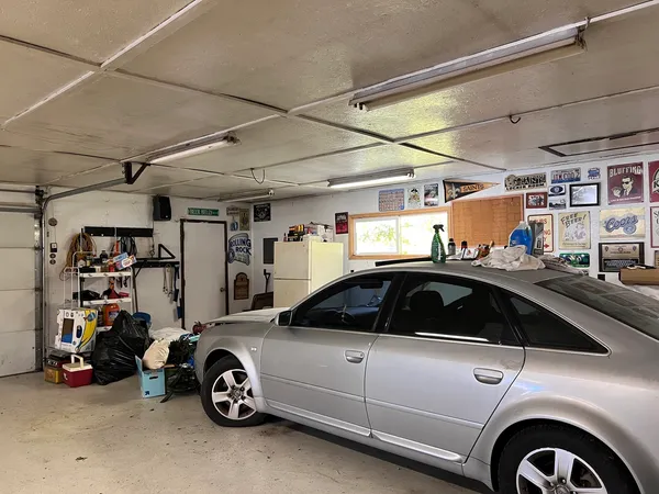 a view of a yard with a tree