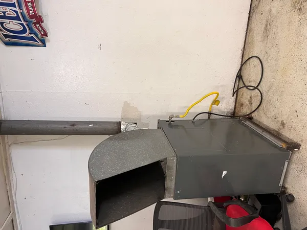 a backyard of a house with trees and plants