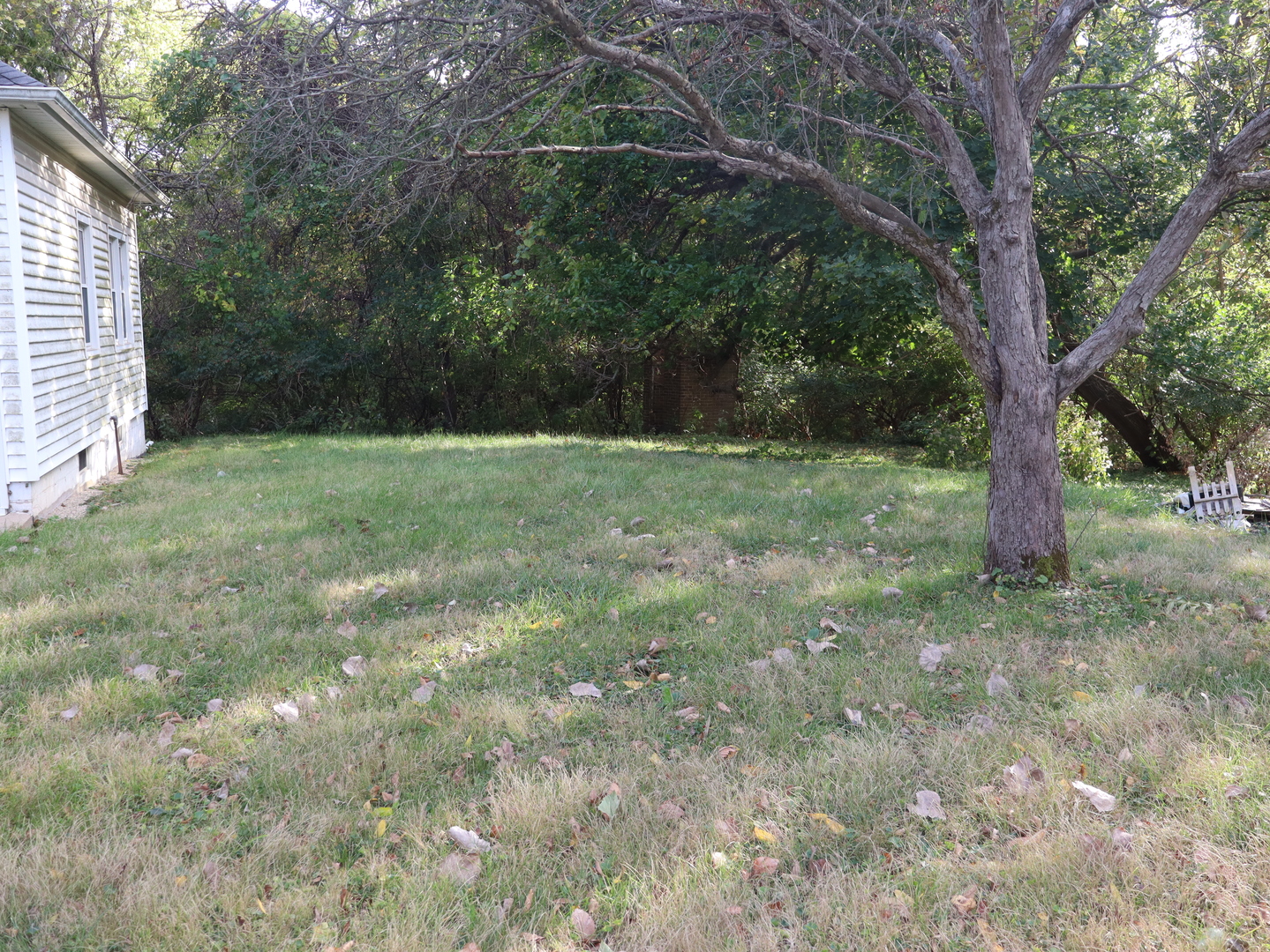 535 Golf Road Streator, IL 61364 - Photo 7 of 31 a view of a yard with a tree