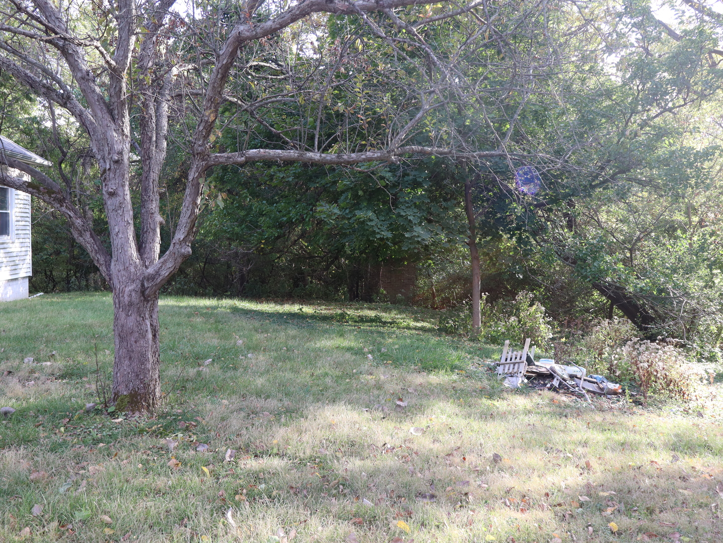 535 Golf Road Streator, IL 61364 - Photo 8 of 31 a backyard of a house with trees and plants