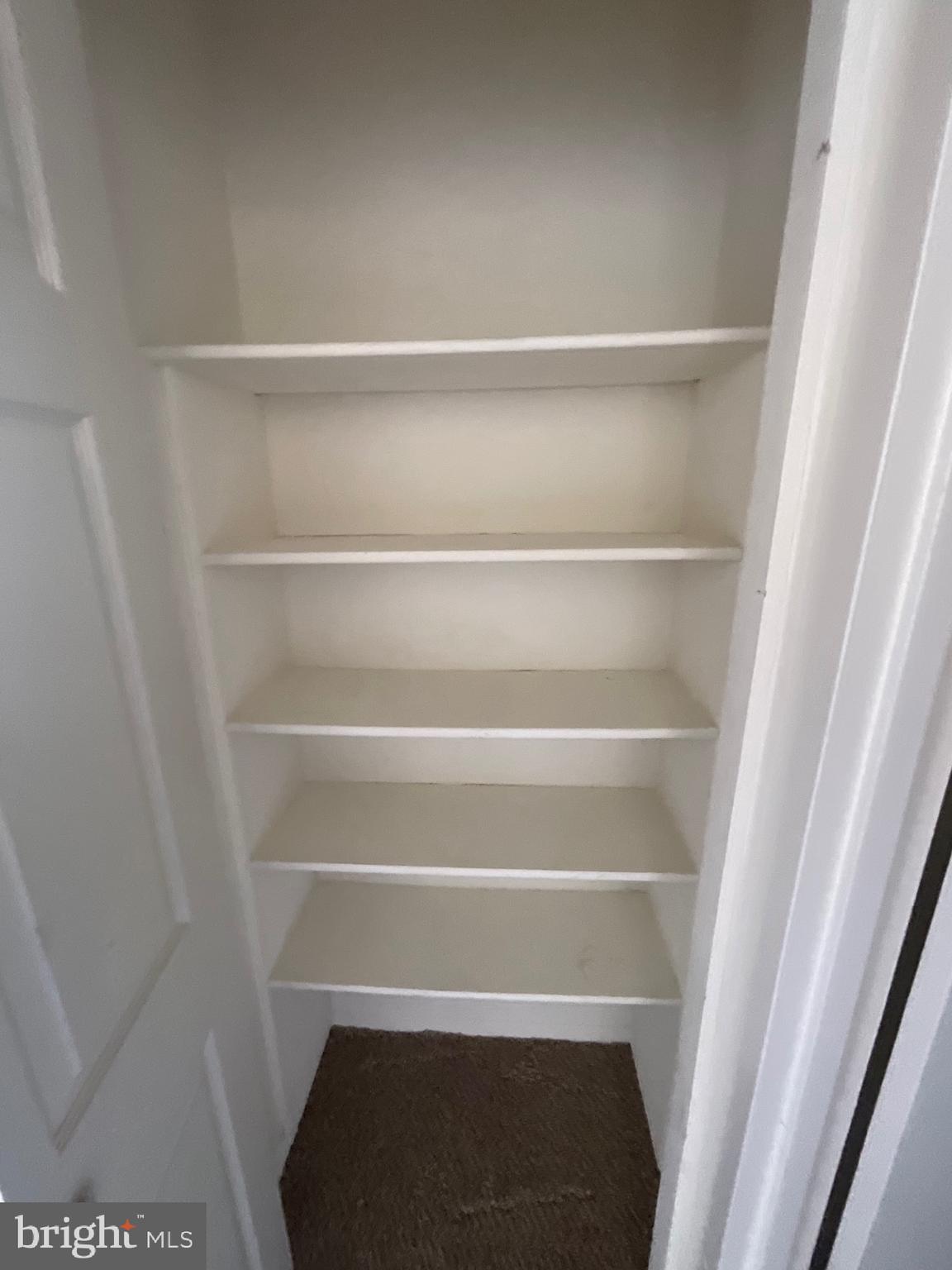 1836 Metzerott Road, Unit 1905 Adelphi, MD 20783 - Photo 9 of 15 Hallway Closet
virtual staging