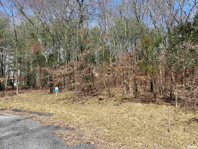 $45,000 | Buckeye Hill, Goreville, IL 62939