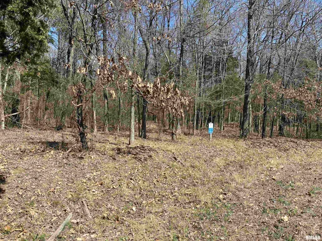 $45,000 | Buckeye Hill, Goreville, IL 62939