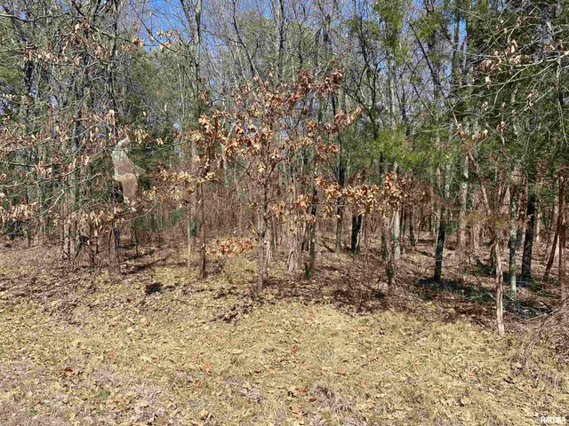 $45,000 | Buckeye Hill, Goreville, IL 62939