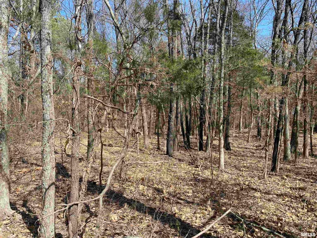 $45,000 | Buckeye Hill, Goreville, IL 62939