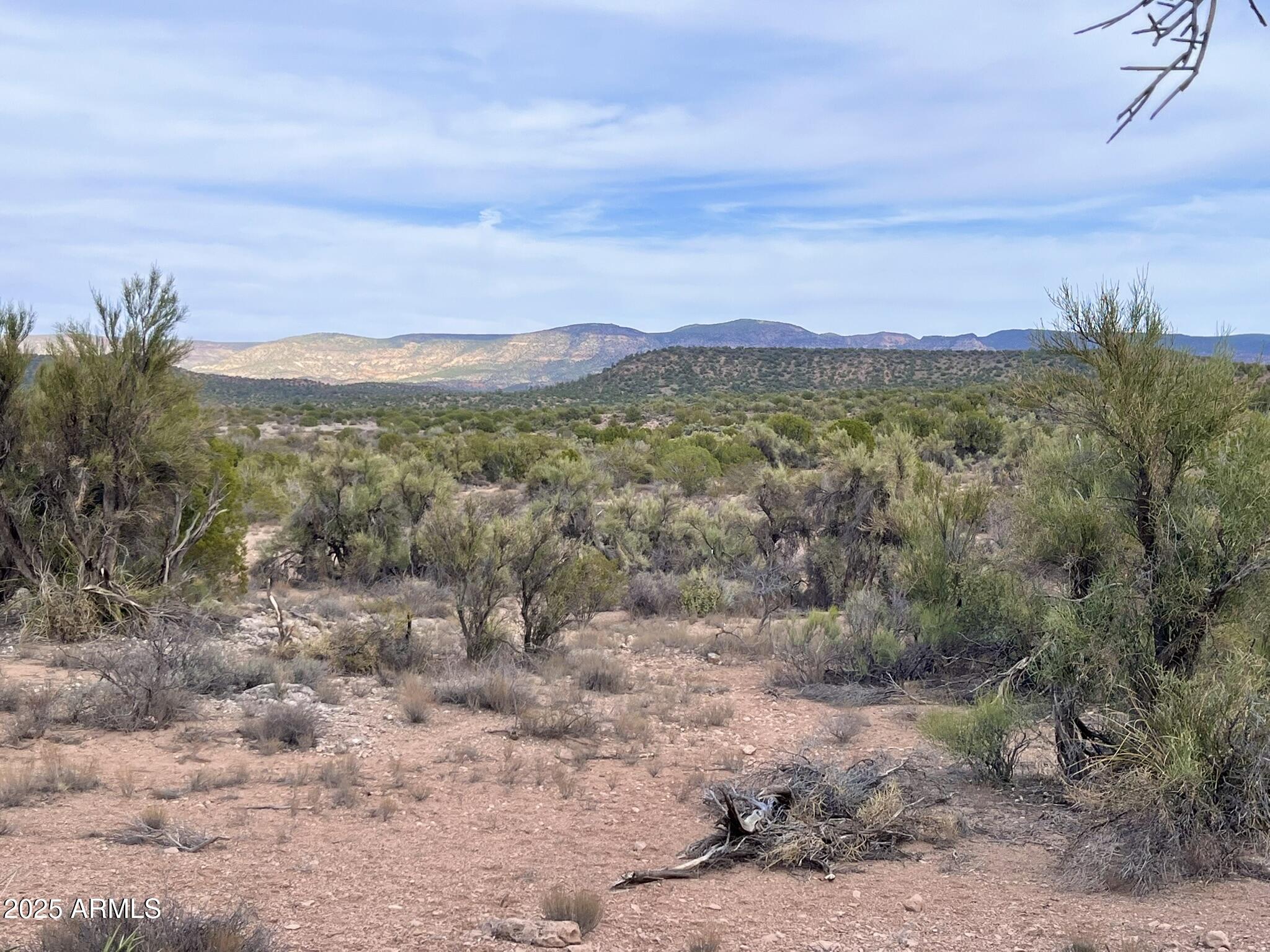 3075 Sonora Pass, Unit 65 Rimrock, AZ 86335 - Photo 11 of 17 a view of a forest with mountains in the background