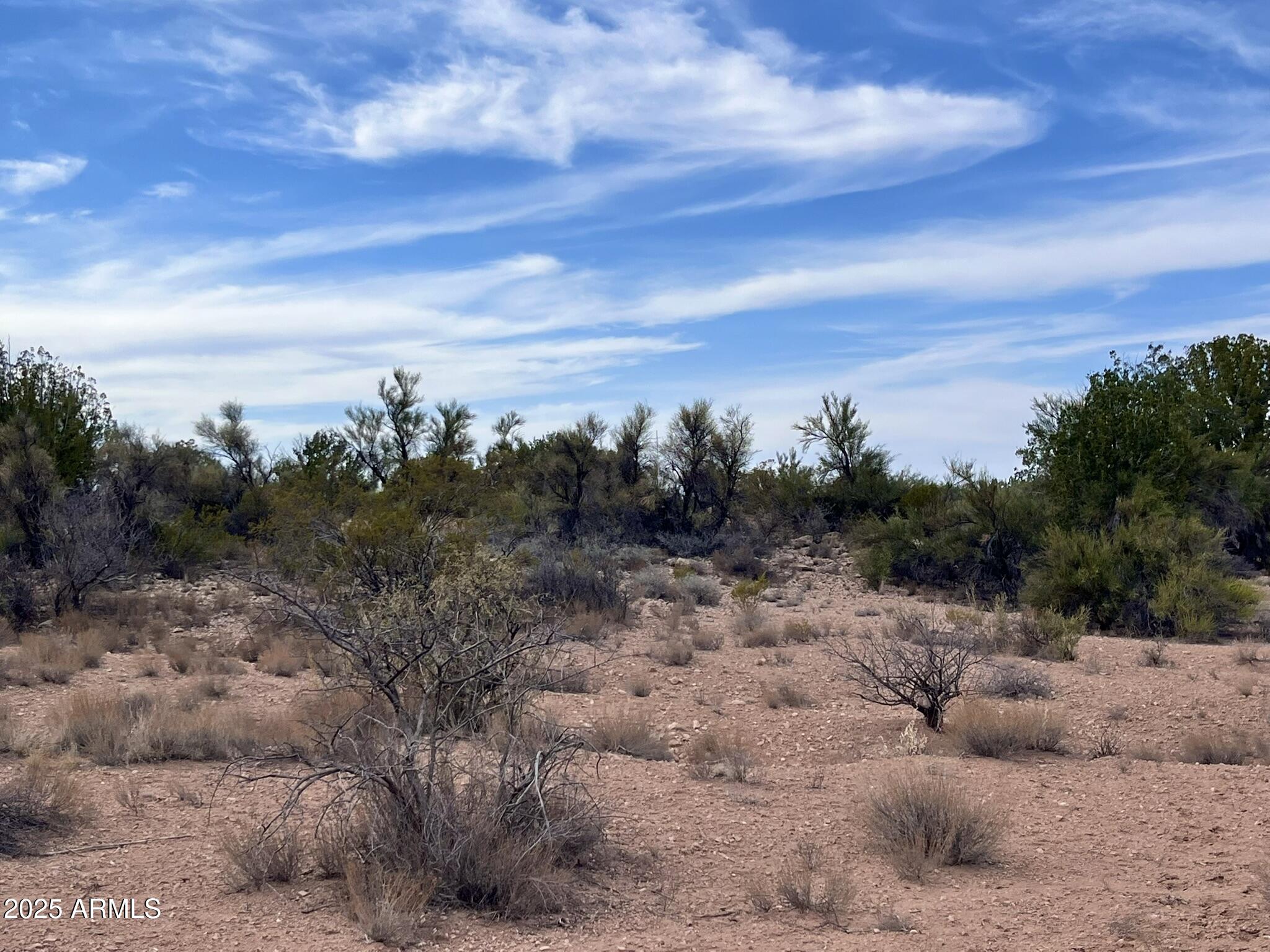 3075 Sonora Pass, Unit 65 Rimrock, AZ 86335 - Photo 12 of 17 a view of a with large trees