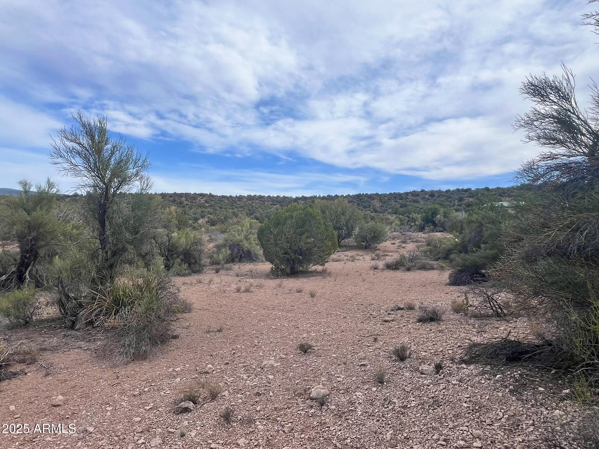 3075 Sonora Pass, Unit 65 Rimrock, AZ 86335 - Photo 14 of 17 a view of a dirt road with large trees