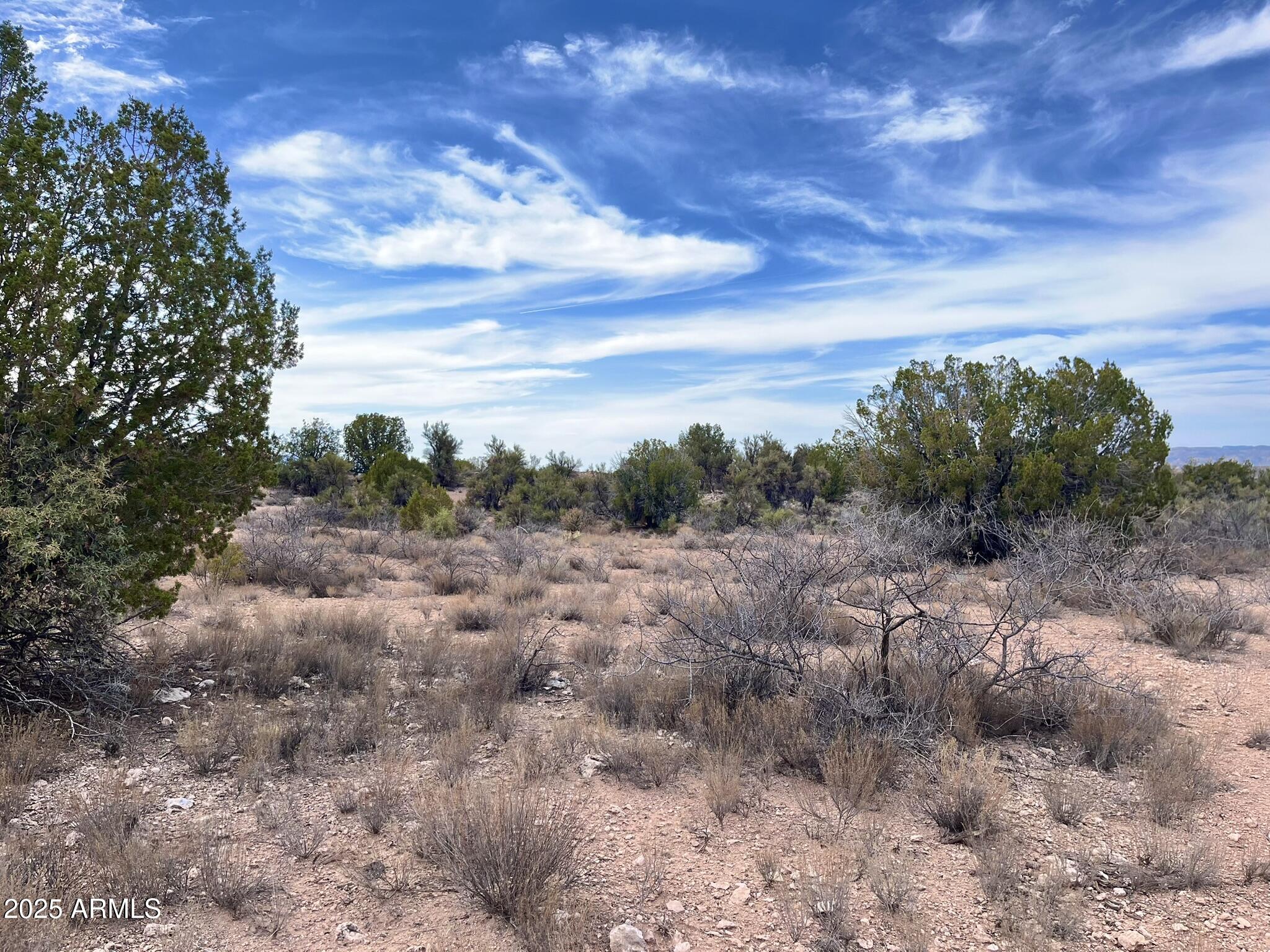 3075 Sonora Pass, Unit 65 Rimrock, AZ 86335 - Photo 16 of 17 a view of a field of trees