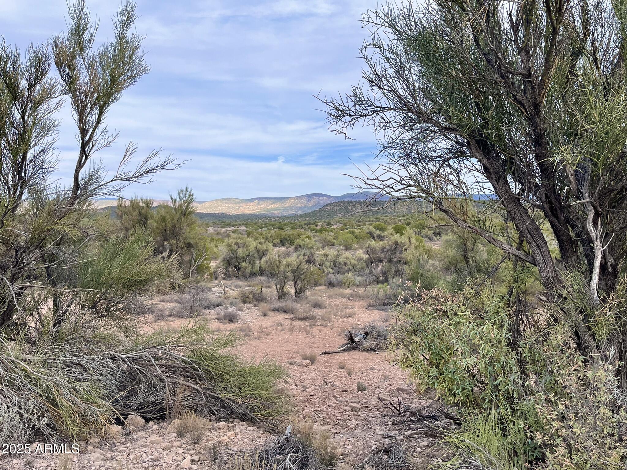 3075 Sonora Pass, Unit 65 Rimrock, AZ 86335 - Photo 8 of 17 a view of a yard with a tree
