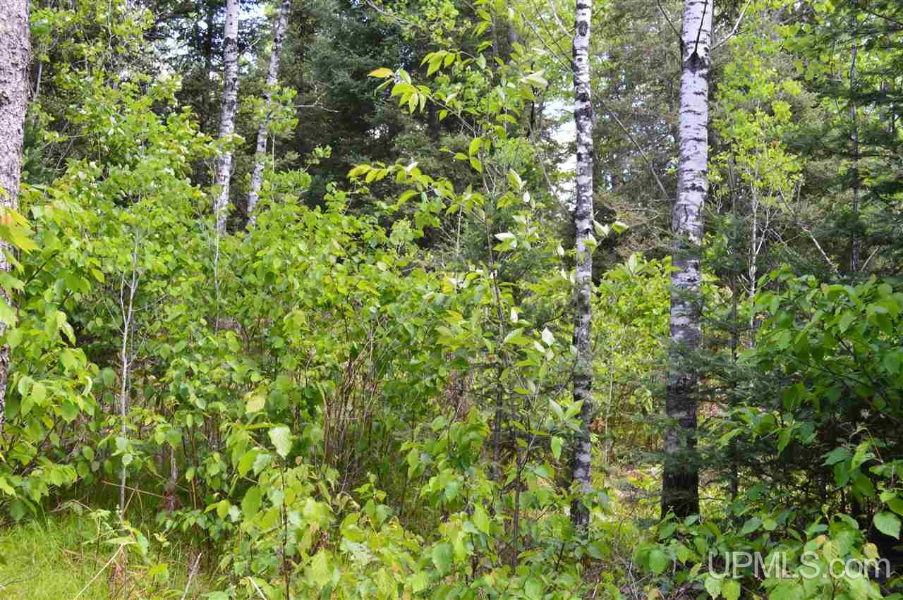Tbd Premo Dam Road Amasa, MI 49903 - Photo 25 of 27 Gallery Image 25
