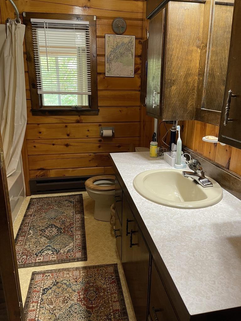 354 Lakeview Road Milo, ME 04463 - Photo 11 of 44 IMG_0149
