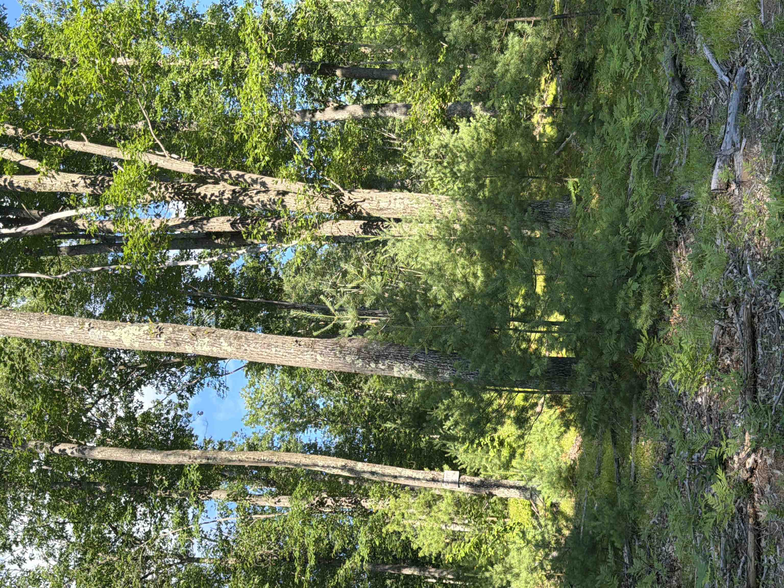 Lot 8 Rhett Lane, Unit 8 Wausaukee, WI 54177 - Photo 13 of 16