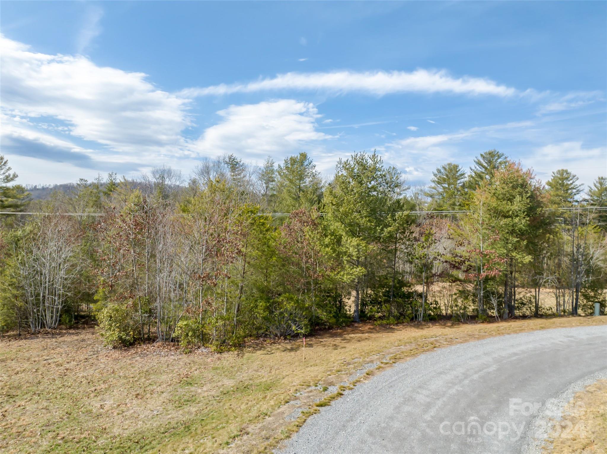 366 Chukar Way, Unit 33 Fletcher, NC 28732 - Photo 3 of 9