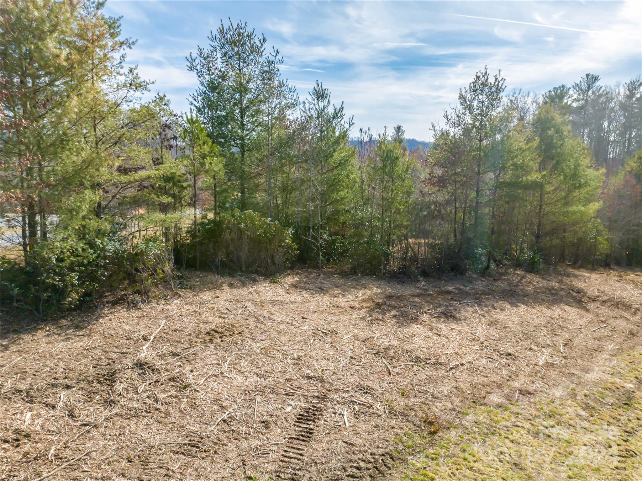 366 Chukar Way, Unit 33 Fletcher, NC 28732 - Photo 6 of 9 a view of a yard with trees