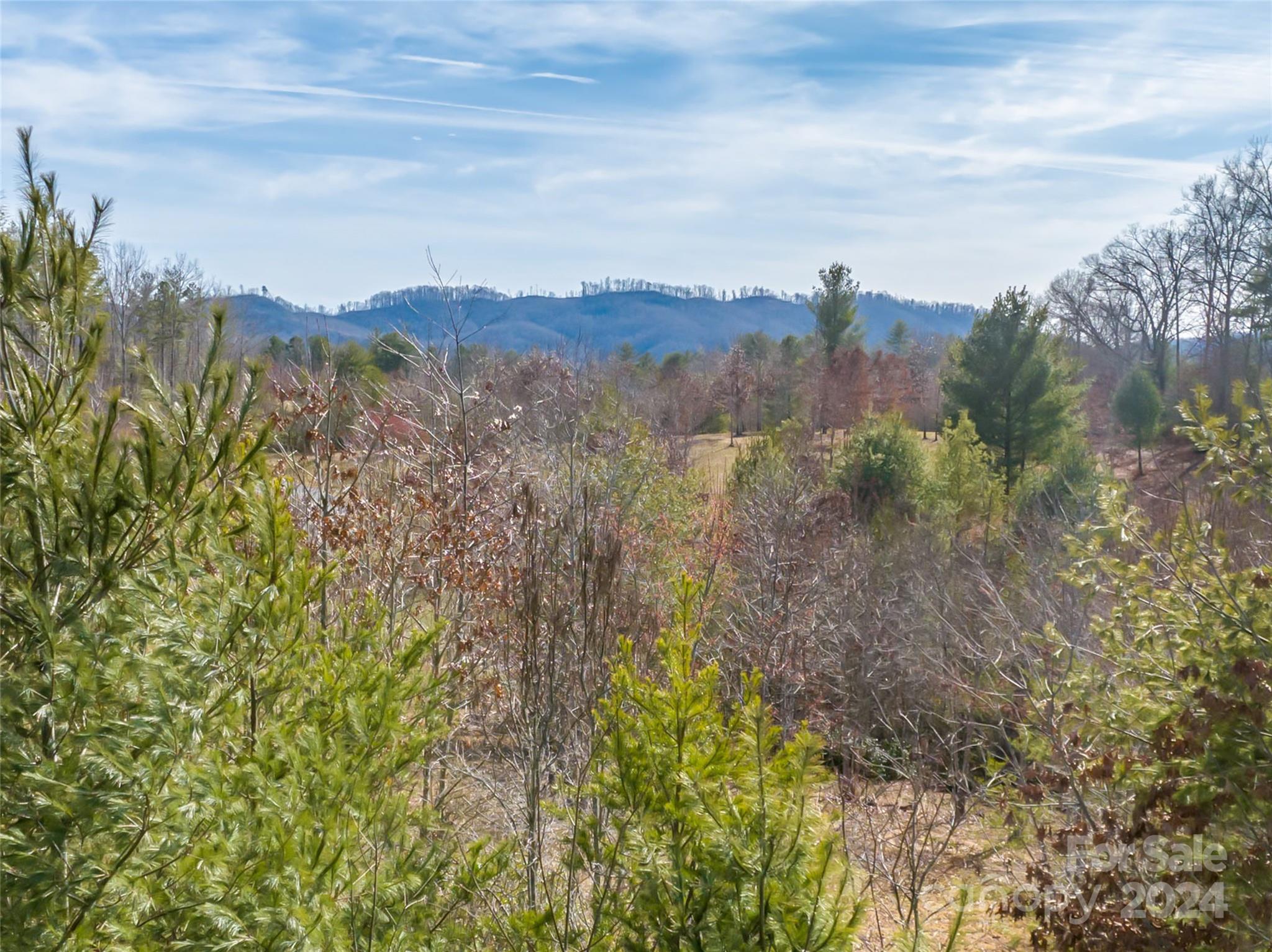 366 Chukar Way, Unit 33 Fletcher, NC 28732 - Photo 7 of 9 a view of a city with lush green forest