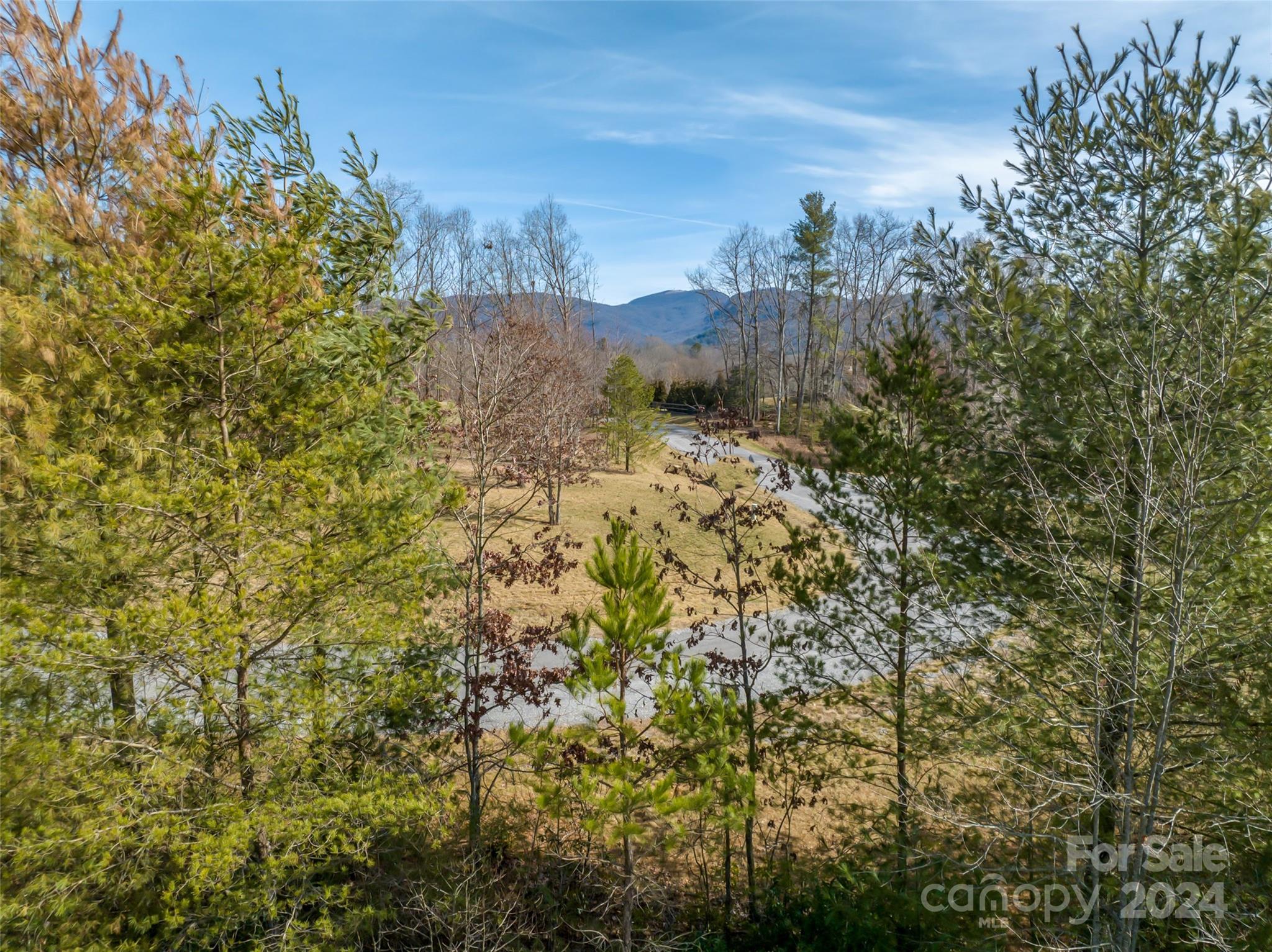 366 Chukar Way, Unit 33 Fletcher, NC 28732 - Photo 8 of 9 a view of a houses with a yard