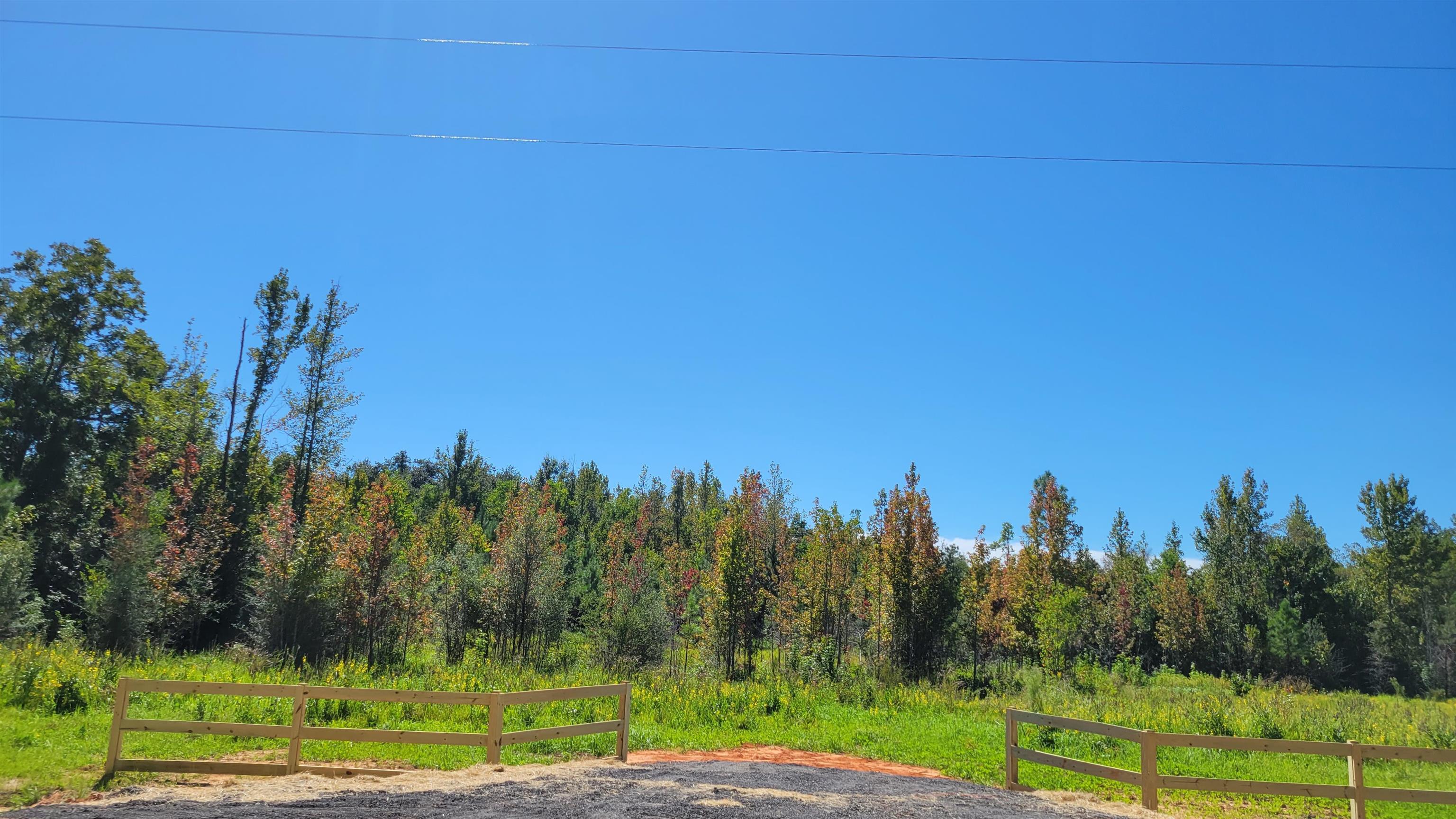 0 Bertha Cleveland Road Bay Minette, AL 36507 - Photo 2 of 2