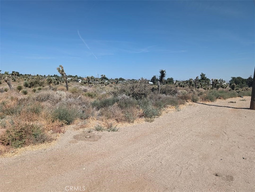 12 Sheep Creek Road Phelan, CA 92371 - Photo 7 of 7 Gallery Image 7