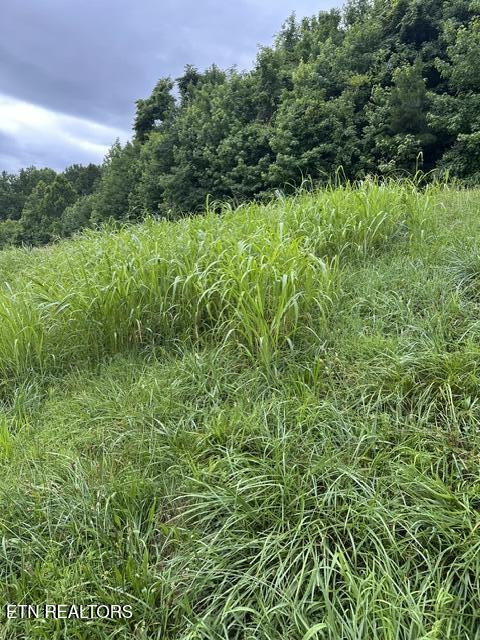 612 Mill Drive Decatur, TN 37322 - Photo 2 of 9 IMG_7518