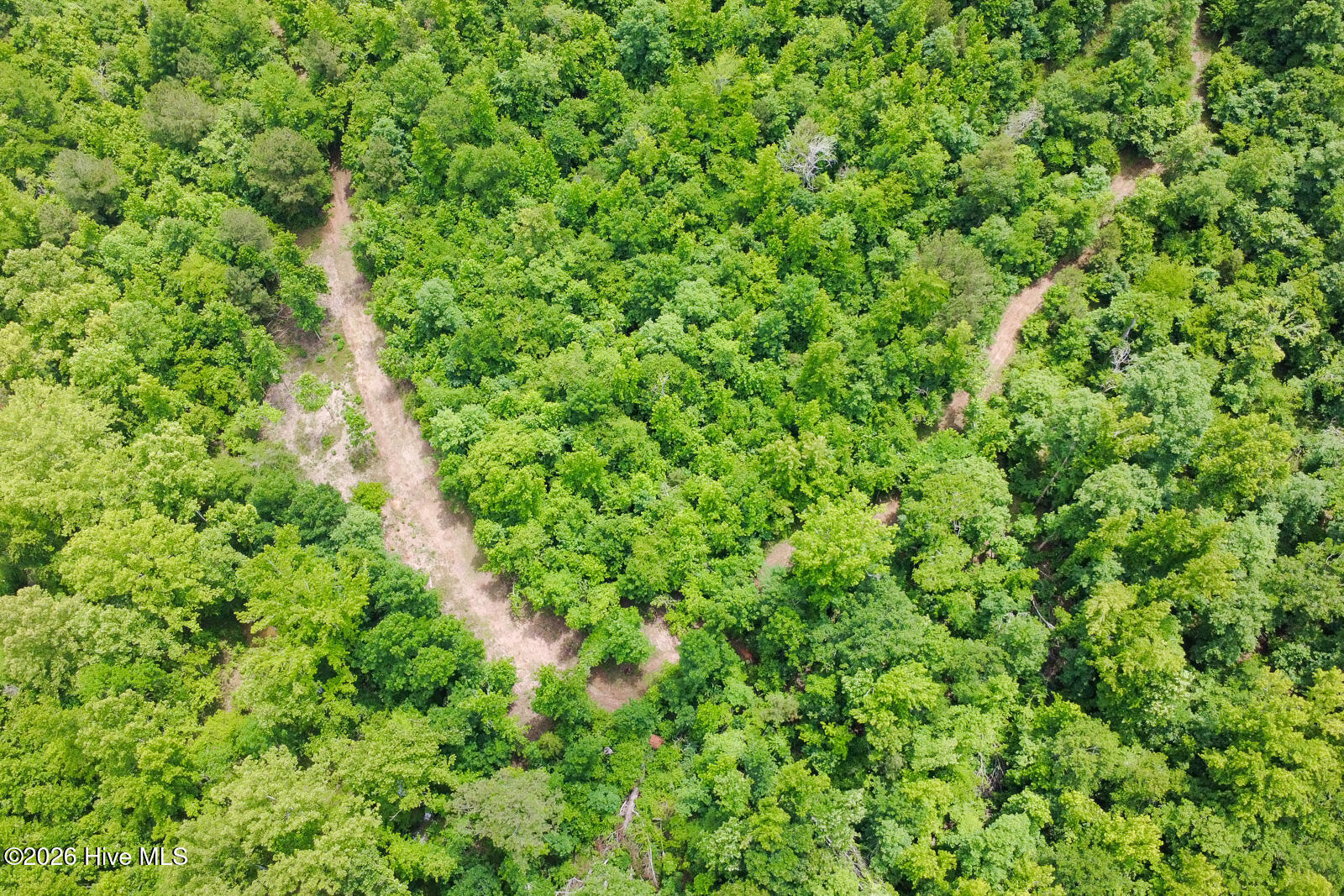 846 Briggs Road North Augusta, SC 29860 - Photo 46 of 58 Trails!