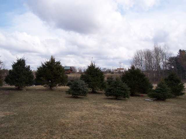 420 Bullock Road Slingerlands, NY 12159 - Photo 3 of 9 Photo 3