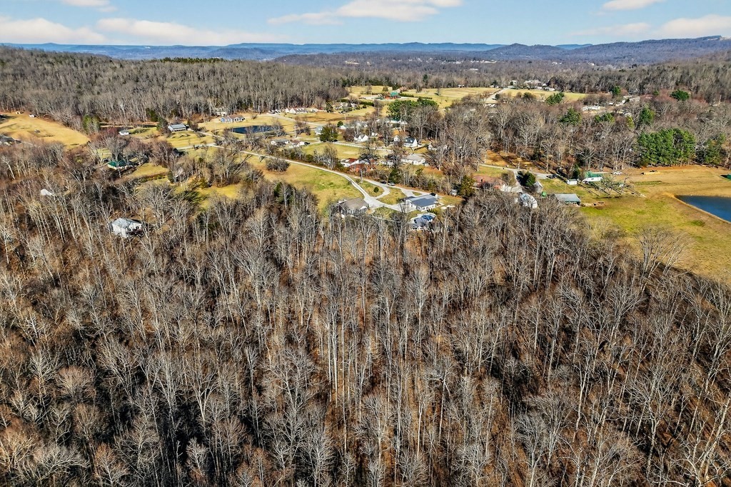 6081 Buck Mountain Road Cookeville, TN 38506 - Photo 67 of 78 a view of a city