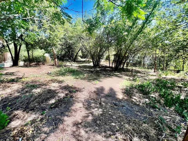 a view of a tree with a yard