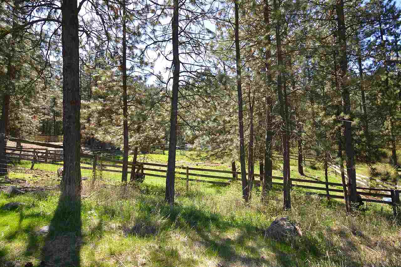 3702 Cameron Road North Gifford, WA 99131 - Photo 14 of 20