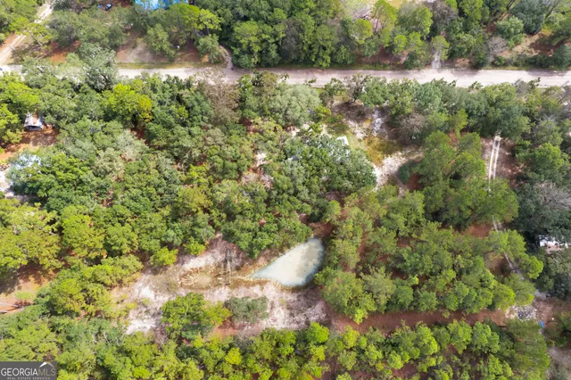 a view of a garden with a tree