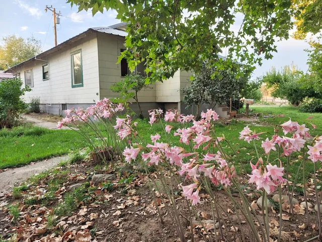 a view of swimming pool outdoor seating and city view