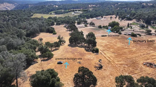 a view of a forest with trees