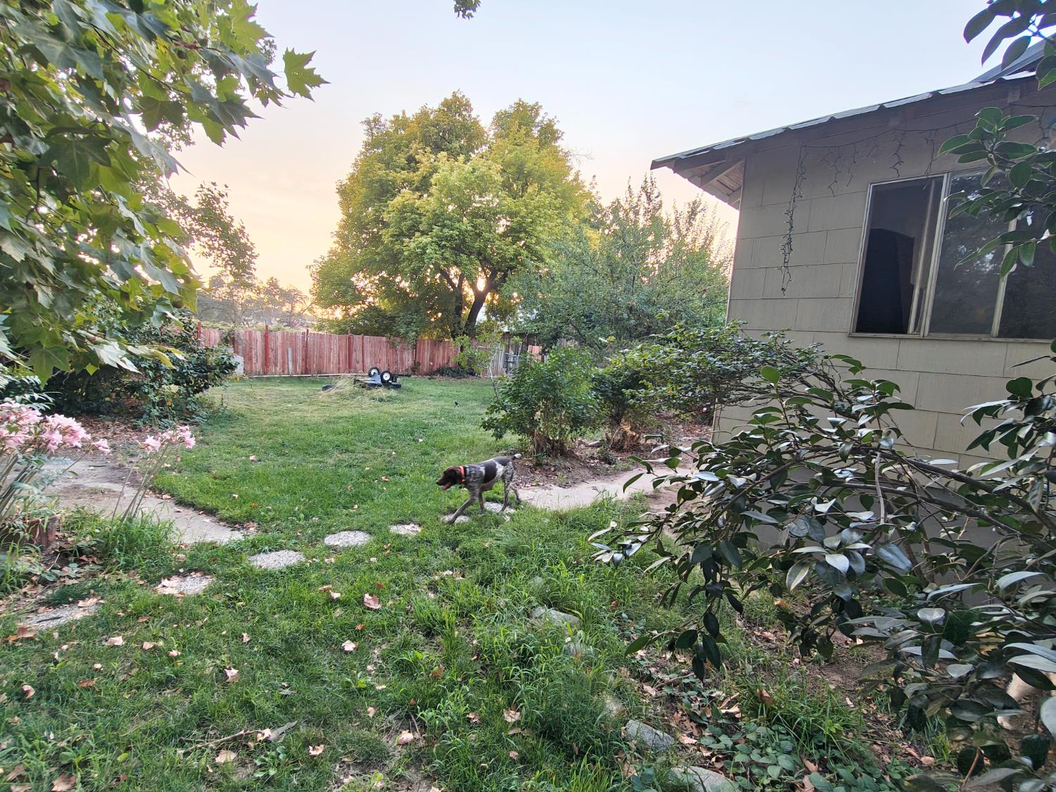 5661 Thompson Hill Road Placerville, CA 95667 - Photo 61 of 68 a backyard of a house with lots of green space