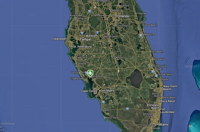 a close up of a plant in a garden