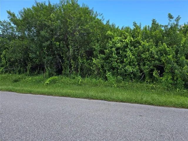 a view of a yard with plants and trees
