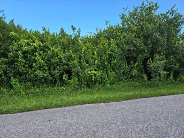 a view of a yard with a tree