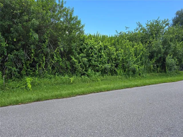 a view of a field with a tree in the background