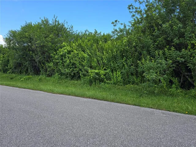 a view of a yard with a tree