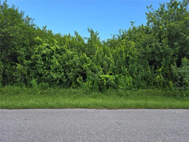 a view of a yard with a house