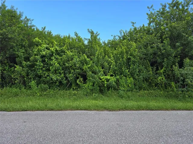 a view of a yard with a house