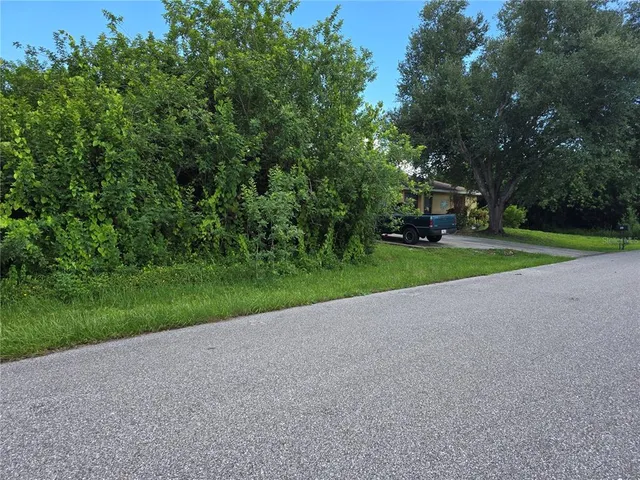 a view of a park with large trees