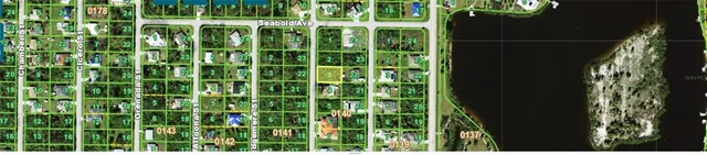 a close up of a plant in a garden