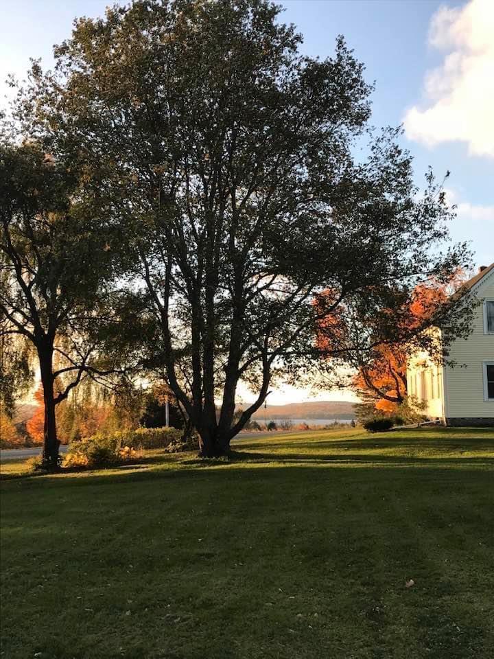 168 S Road Harmony, ME 04942 - Photo 3 of 41 Views Nice