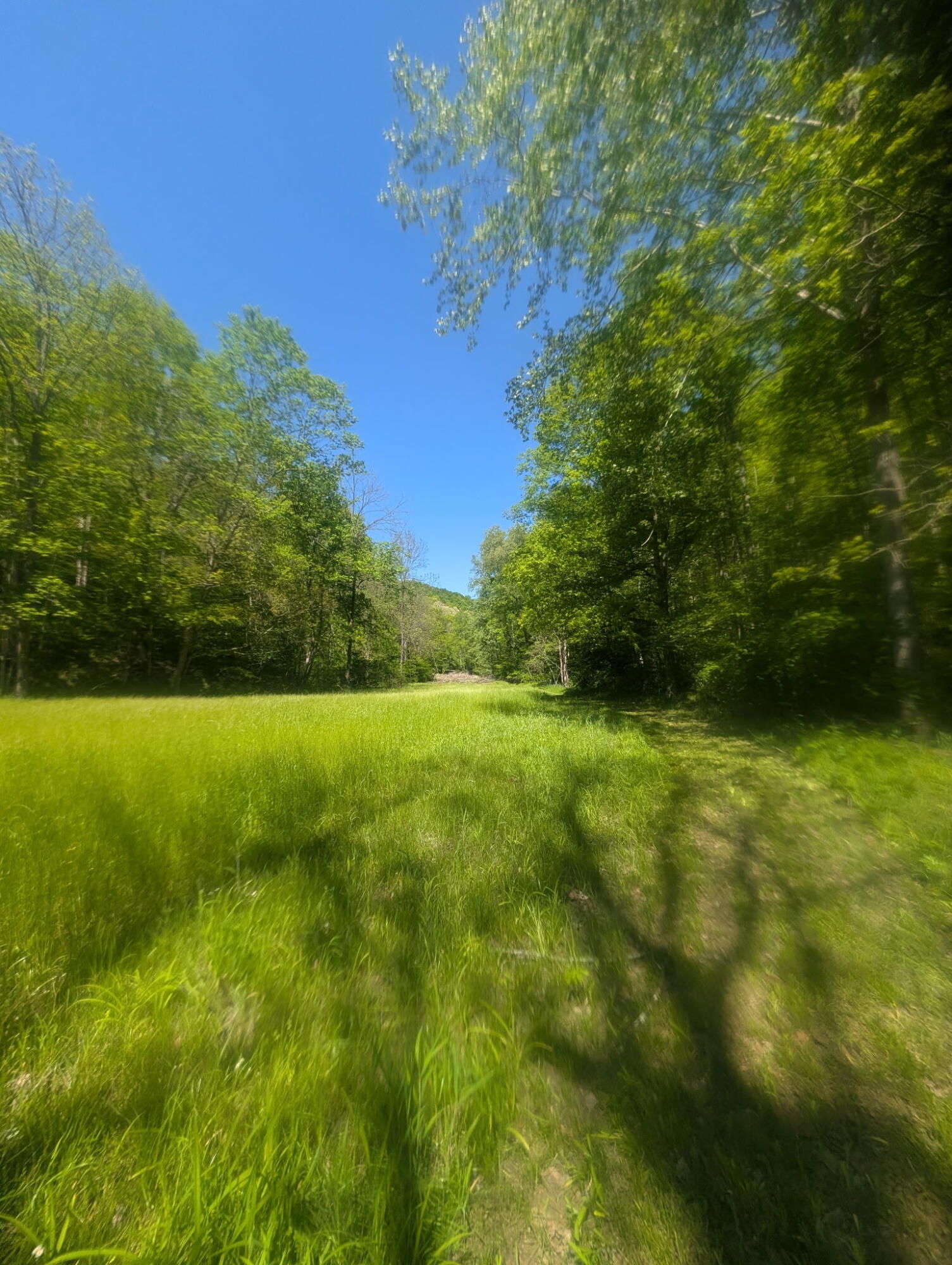 3456 Sand Springs Road Mount Vernon, KY 40456 - Photo 12 of 14 1000001894