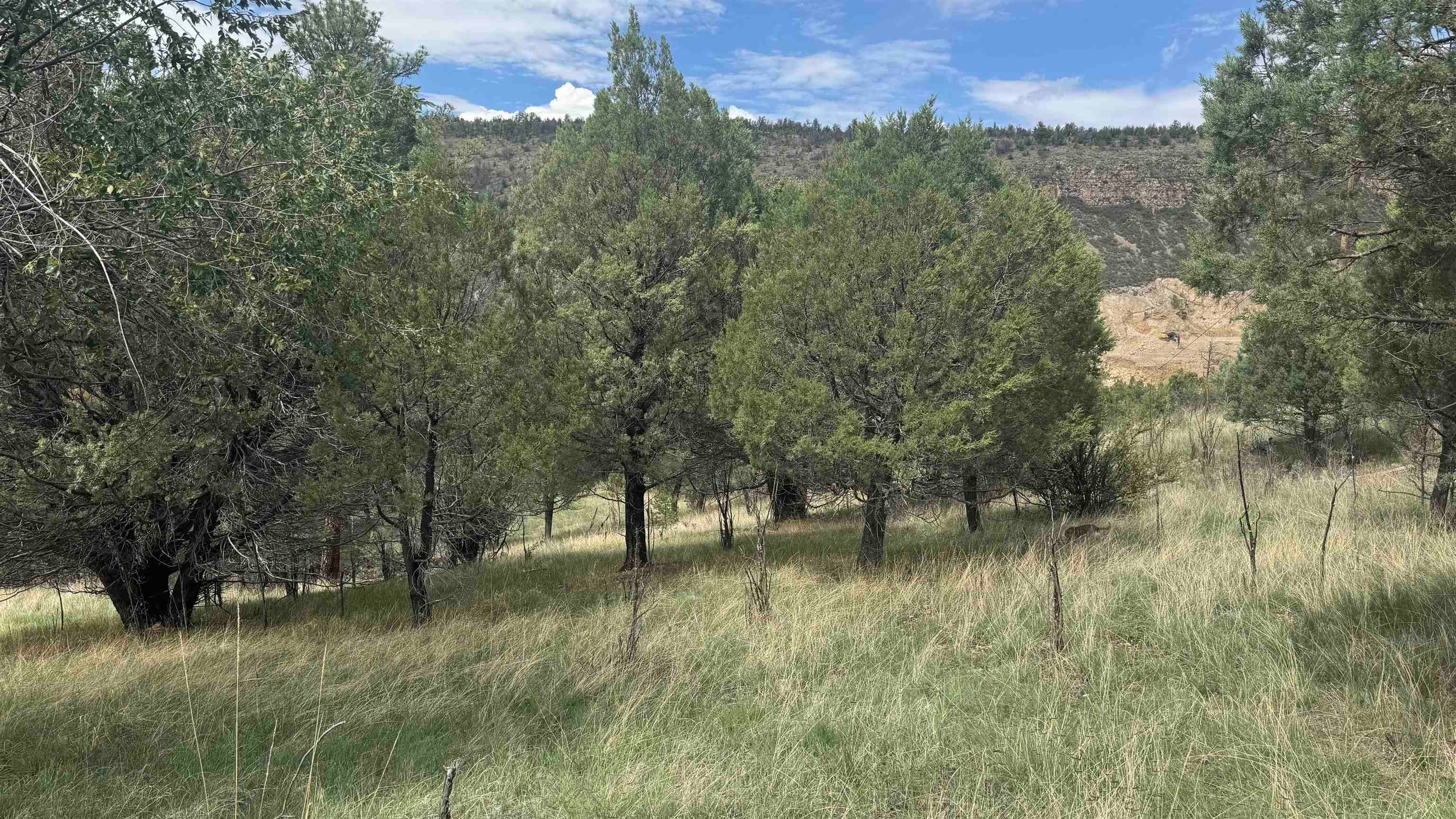 1826 A Rio Penasco Road Mayhill, NM 88339 - Photo 2 of 7 Gallery Image 2